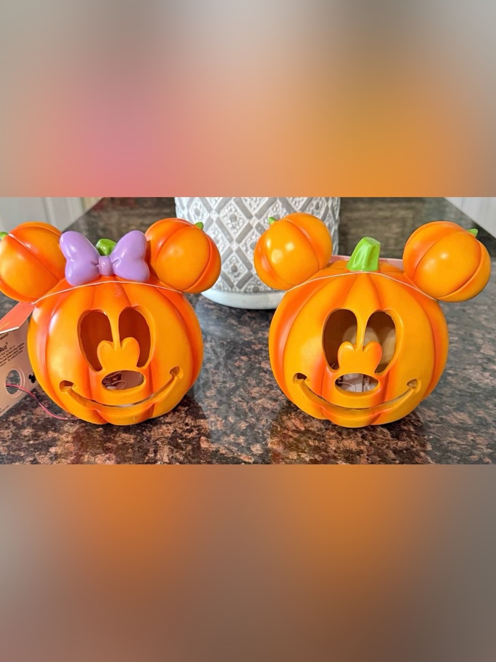 Disney Large Mickey & Minnie Light Up
